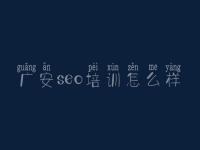 广安seo培训怎么样 网站关键词优化方法