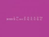 2022佛山seo黑帽视频教程_高阶黑帽实战