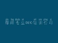 鄢陵专业seo培训公司_网络优化平台