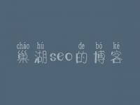 巢湖seo的博客，seo实战教程