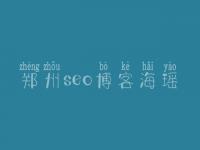 郑州seo博客海瑶，seo快排教程