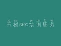 玉树seo培训服务，网站优化对策