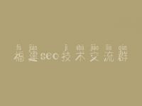 福建seo技术交流群 网站建设公开