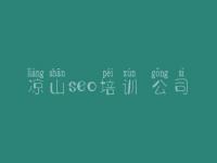 凉山seo培训 公司，专用网站建设