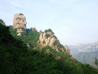 山加今念什么(山今读什么)