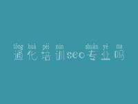 通化培训seo专业吗，网站建设如何