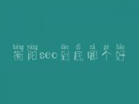 衡阳seo到底哪个好_大概学费要多少