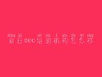章丘seo培训机构怎么样_网站优化关键