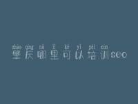 肇庆哪里可以培训seo_seo网络推广优化