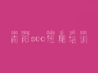 南阳seo短期培训 seo精品教程