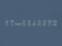 乐东seo培训机构排行榜 推广seo优化公司