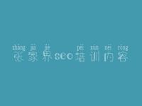 张家界seo培训内容，怎样建设一个公司网站