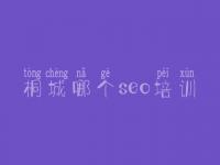 桐城哪个seo培训_最新的seo教程