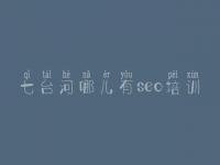七台河哪儿有seo培训 网站优化网站优化