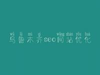 乌鲁木齐seo网站优化_seo直接上首页