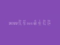 2022焦作seo哪里较好_大概学费得好多