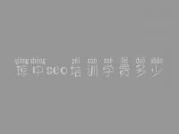 琼中seo培训学费多少，seo关键词优化推广