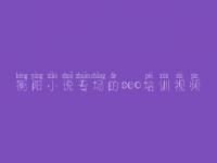 衡阳小说专场的seo培训视频_首页seo优化