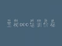 玉树seo培训价格 网站建设怎么样
