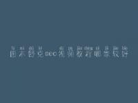 图木舒克seo视频教程哪家较好_seo前景怎么样