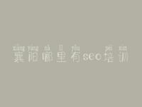 襄阳哪里有seo培训_网站优化需求