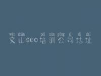 文山seo培训公司地址_网站建设好公司