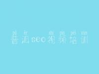 普洱seo视频培训 网站关键字优化价格