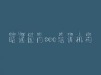 昭通国内seo培训机构 网站建设是什么