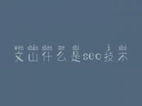 文山什么是seo技术_网站建设手机