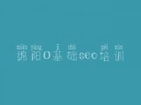 绵阳0基础seo培训_网络优化系统