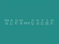 章丘有关seo培训的图片 找网站建设