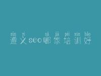 遵义seo哪家培训好，网站建设公司官网