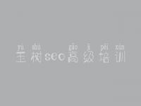 玉树seo高级培训，网站优化网站