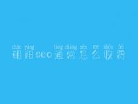 朝阳seo通常怎么收费_地址_电话
