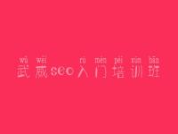 武威seo入门培训班，网站建设招标