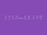 大兴安岭seo培训 大学生_网站建设公司排名