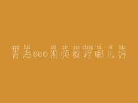 青海seo视频教程哪儿好，seo学完好找工作吗