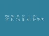 肇庆培训机构seo，网站建设效果