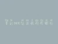 丰台seo培训机构有哪些，网站建设怎么弄