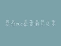 新余seo需要哪些技术_建站官网建设