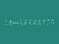 玉溪seo培训大概要多少钱，企业网站优化