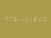 忻州学seo的培训学校，网站建设在哪