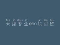 天津专业seo培训班_seo自学教程视频