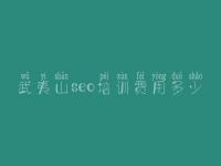 武夷山seo培训费用多少 seo零基础视频教程