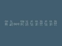 巢湖seo网络培训班培训班，网站建设多少钱