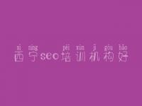 西宁seo培训机构好，网站优化推广