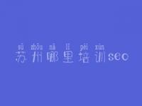 苏州哪里培训seo 网站建设而