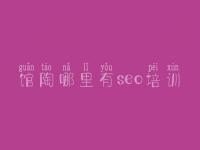 馆陶哪里有seo培训 关键字优化