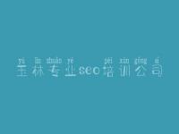 玉林专业seo培训公司 seo教程电子书