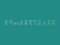 南宁seo需要专门的技术吗 网站优化什么意思